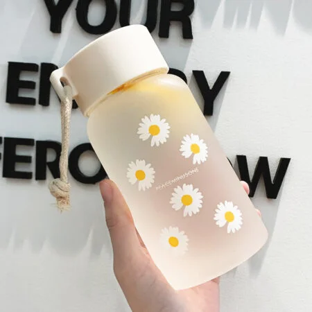 Kawaii Daisy Transparent & Frosted Water Bottles 17oz (500ml)